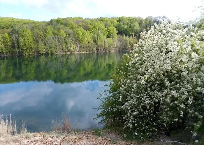 Domek pod Świerkiem